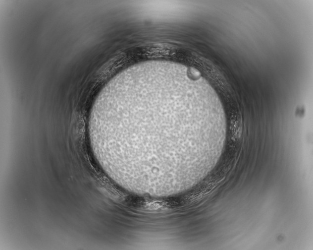 X0000099300753200805161348