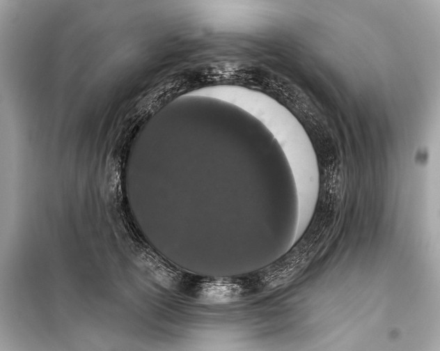 X0000099300754200805161348