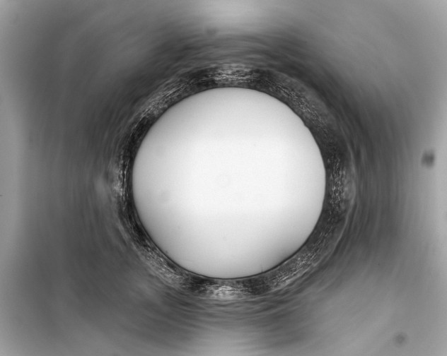 X0000099300755200805161348