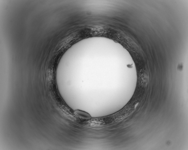 X0000099300756200805161348