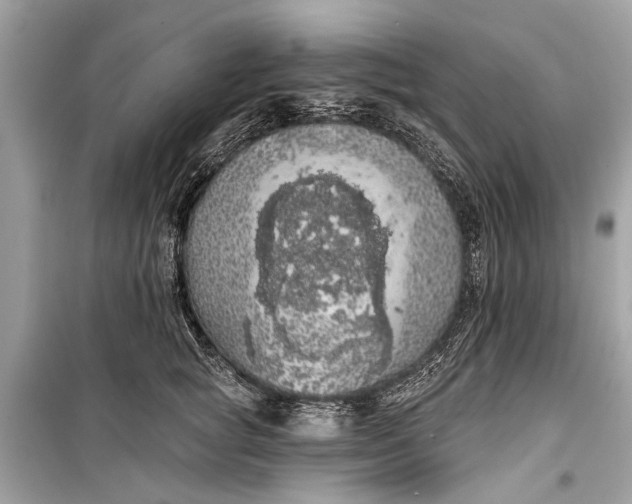 X0000099300757200805161348