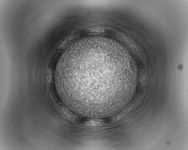 X0000099300758200805161348