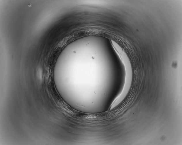 X0000099300759200805161348