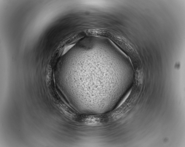 X0000099300760200805161348