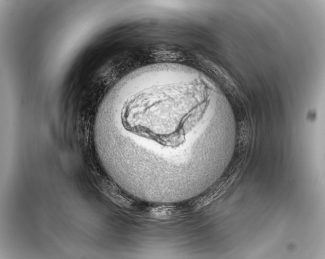 X0000099300761200805161348