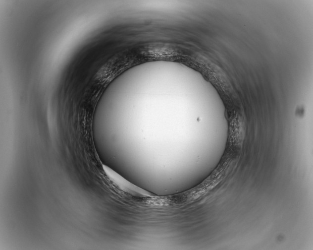 X0000099300762200805161348