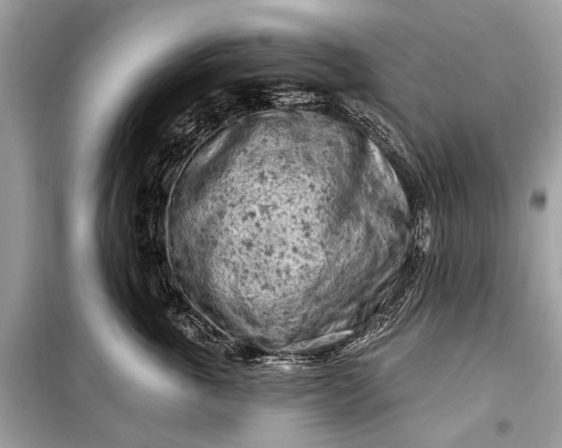 X0000099300763200805161348