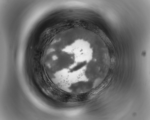 X0000099300765200805161349