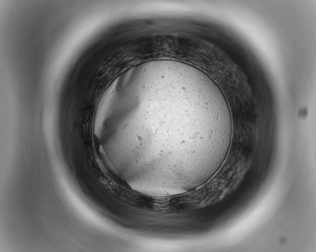 X0000099300766200805161349