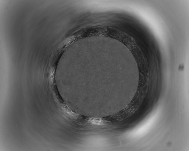 X0000099300767200805161349