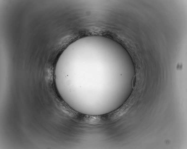 X0000099300768200805161349