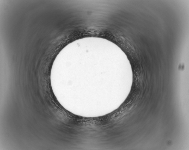 X0000099300769200805161348