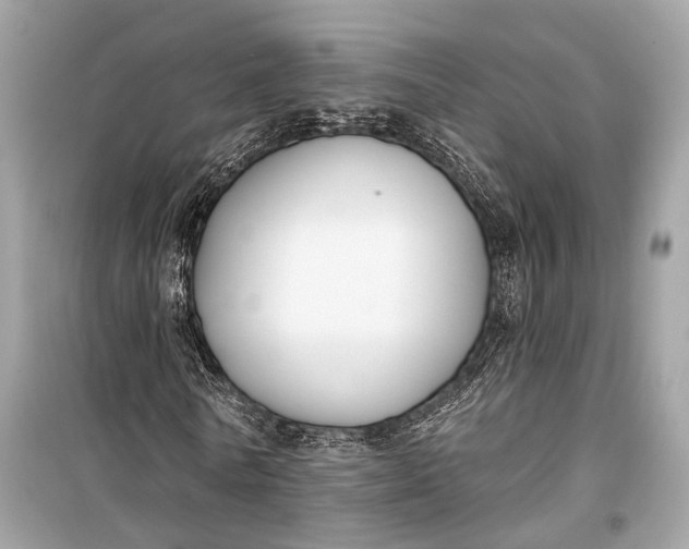 X0000099300770200805161348