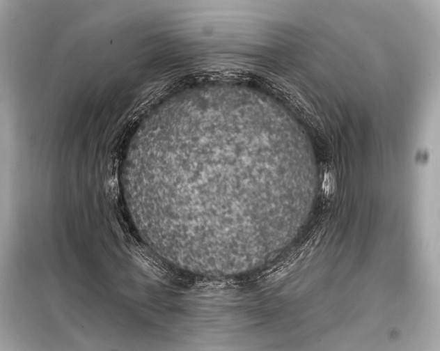 X0000099300771200805161348