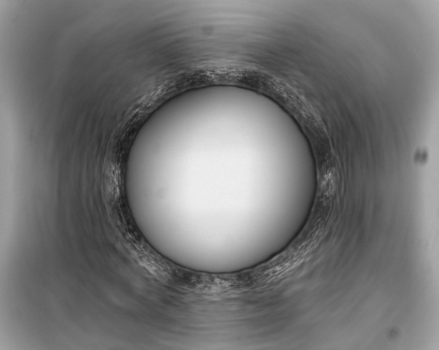 X0000099300772200805161348