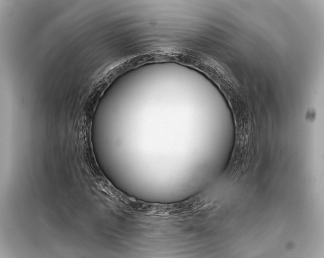 X0000099300773200805161348