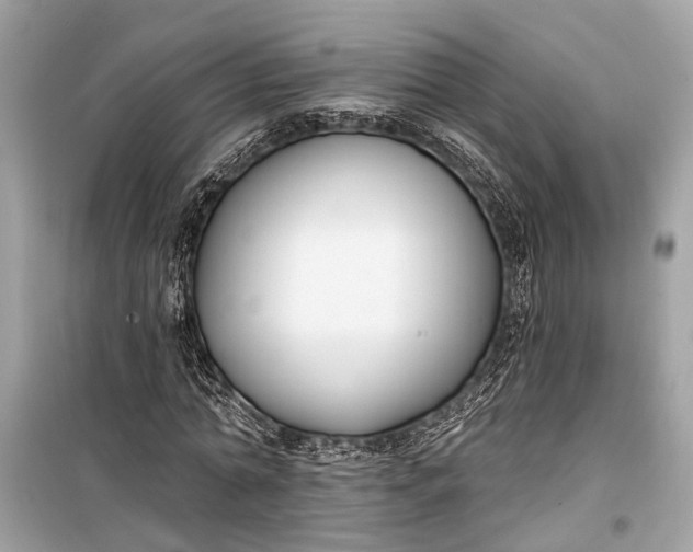 X0000099300774200805161348