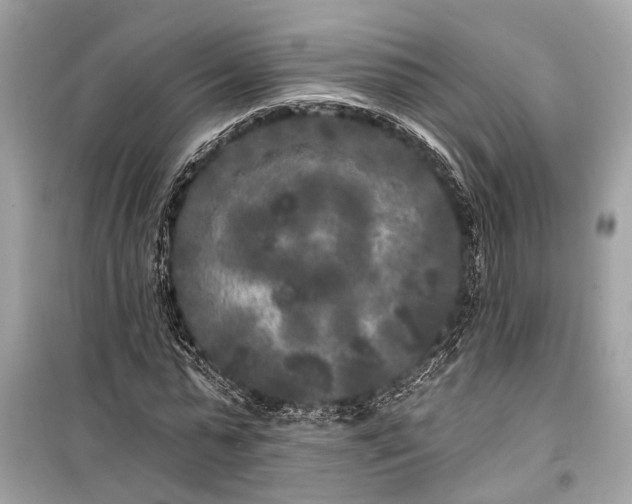 X0000099300775200805161348