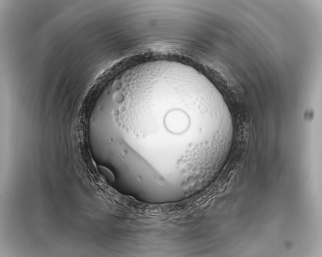 X0000099300776200805161348