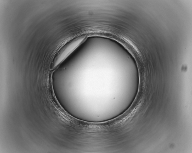 X0000099300777200805161348