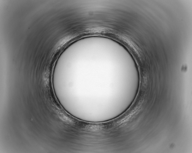 X0000099300778200805161348