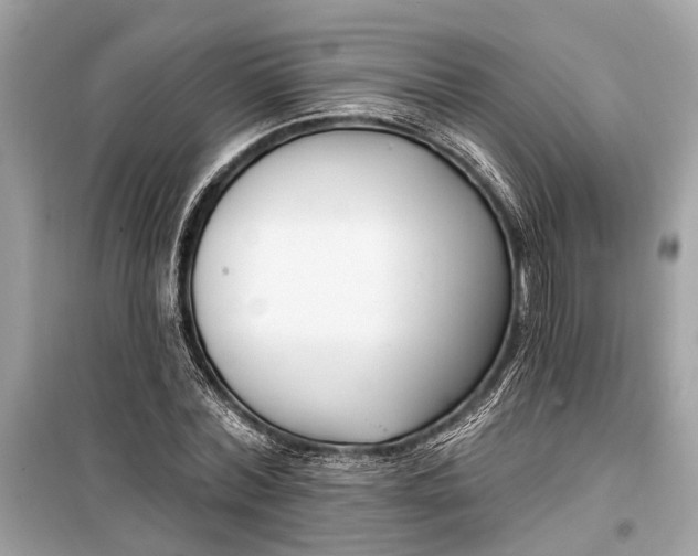 X0000099300780200805161347