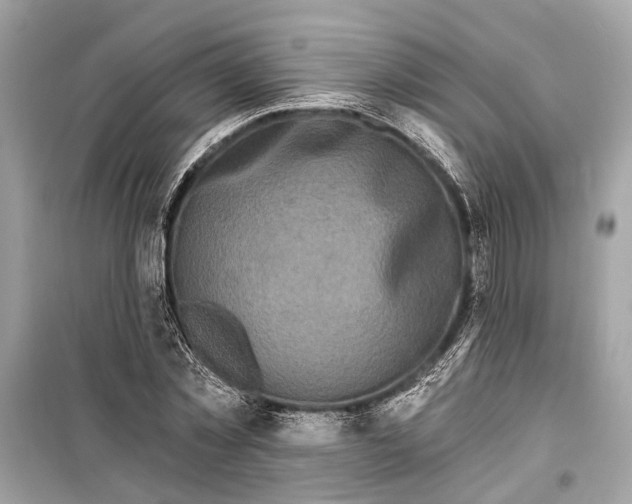 X0000099300781200805161347