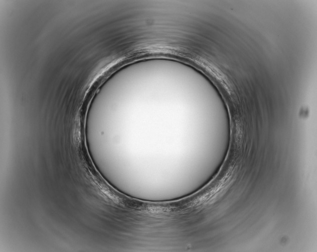 X0000099300782200805161347