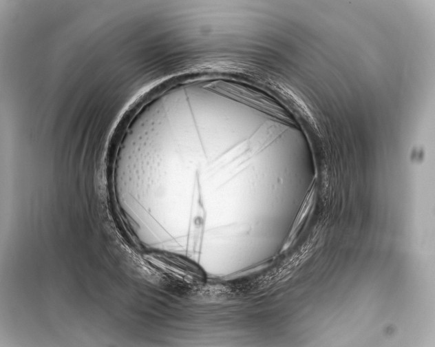 X0000099300784200805161347