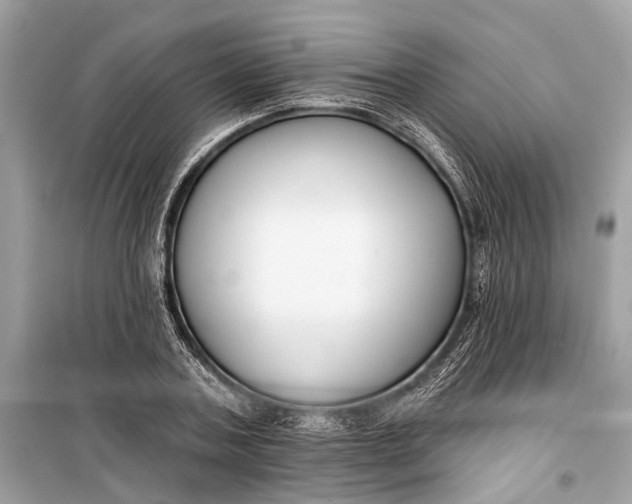 X0000099300787200805161347