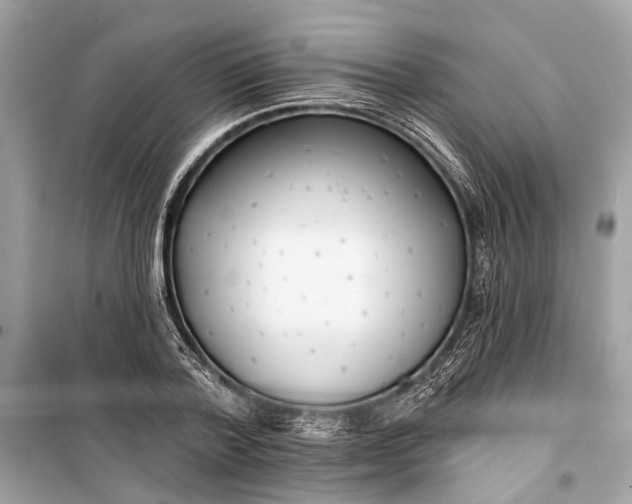 X0000099300788200805161347