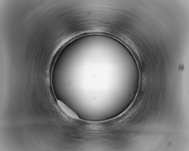 X0000099300789200805161347