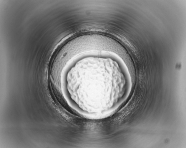 X0000099300790200805161347