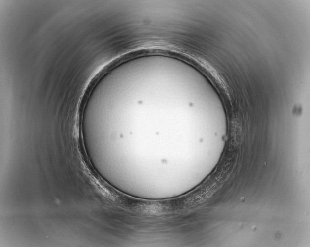 X0000099300791200805161347