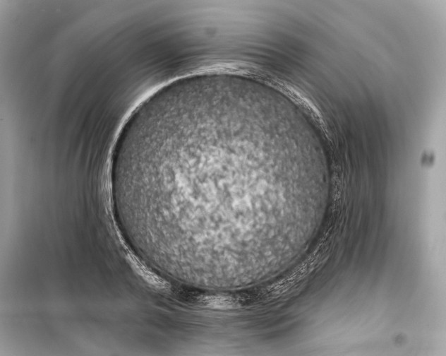 X0000099300792200805161347