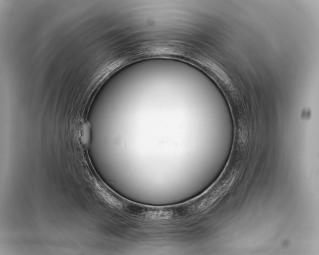 X0000099300793200805161347