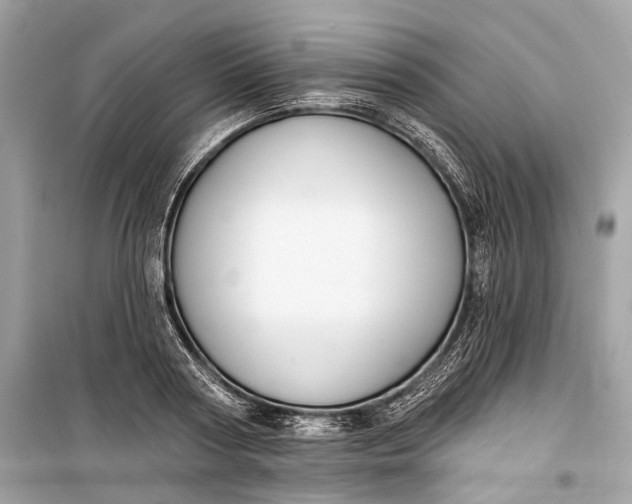 X0000099300794200805161347