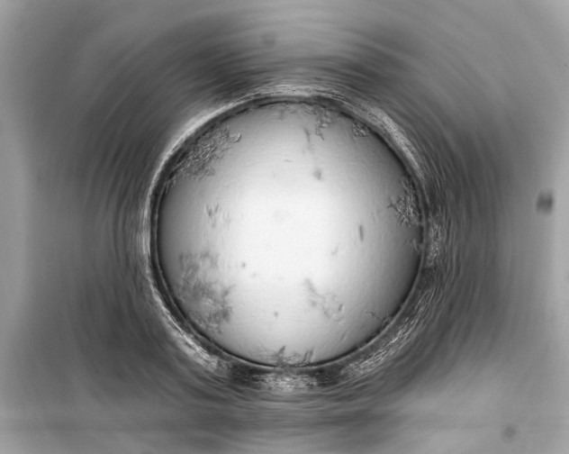 X0000099300795200805161347