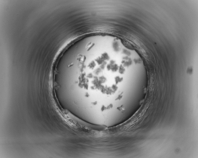 X0000099300796200805161347