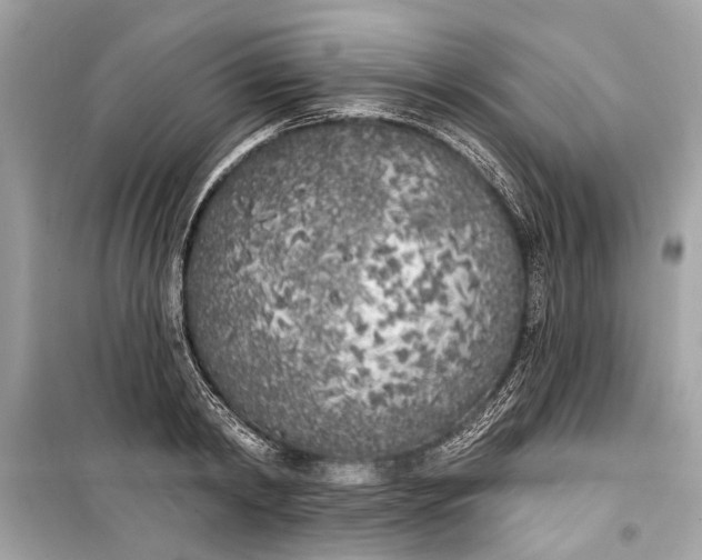 X0000099300798200805161347