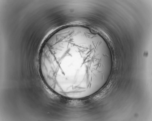 X0000099300800200805161347