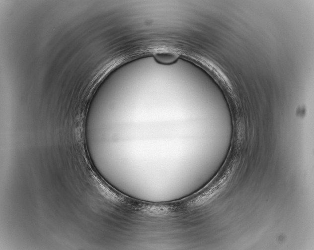 X0000099300801200805161347