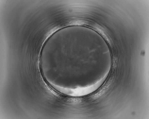 X0000099300802200805161347