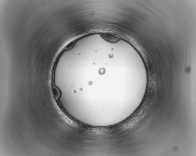 X0000099300803200805161347