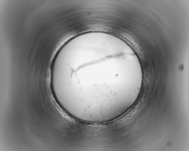 X0000099300804200805161347