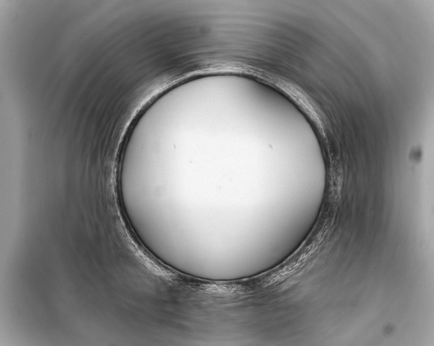 X0000099300805200805161347