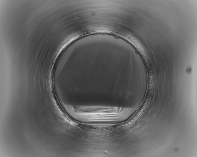 X0000099300806200805161347