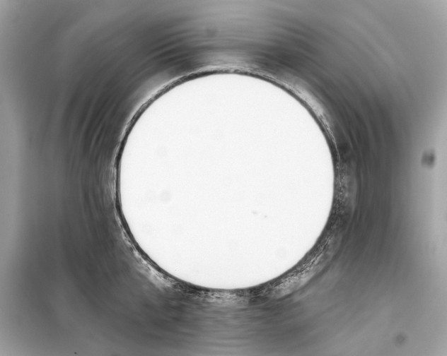 X0000099300807200805161347