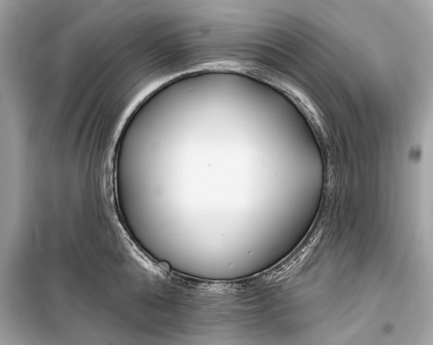 X0000099300808200805161347