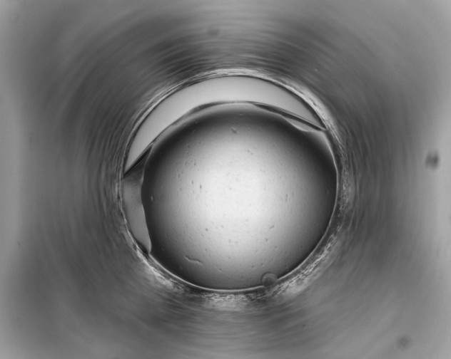 X0000099300809200805161347